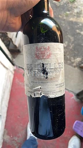 Bordeaux Pauillac Château Les Ormes de Pez 2010