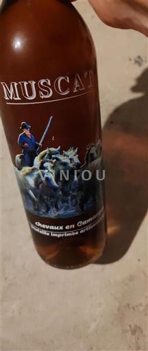 Languedoc Muscat de Frontignan Chevaux en Camargue Non-Vintage