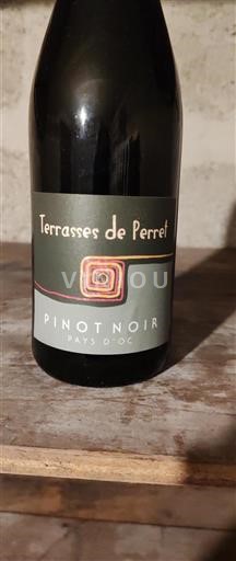 Linguadoca e Rossiglione Paese d'Oc Terrasses de Perret Pinot Noir 2022