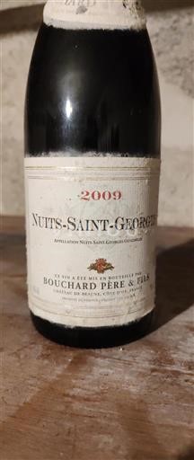 Bourgondië Nuits-saint-georges Bouchard Père & Fils 2009