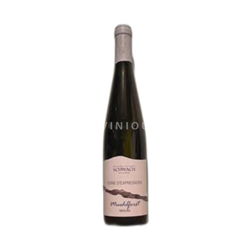 Alsazia Riesling Domaine François Schwach Terre d'Expressions Muehlforst 2018