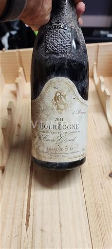 Bourgogne Gérard Seguin Gérard 2011