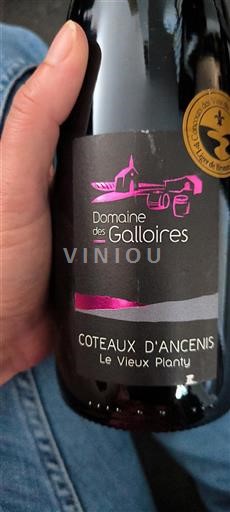 Valle della Loira Coteaux-d'Ancenis Domaine Des Galloires Le Vieux Planty 2021
