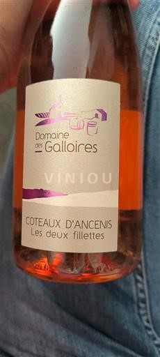 Valle della Loira Coteaux-d'Ancenis Domaine Des Galloires Les deux fillettes 2023