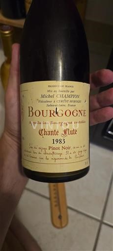 Burgundija Michel Champion Chante Fluté 1983