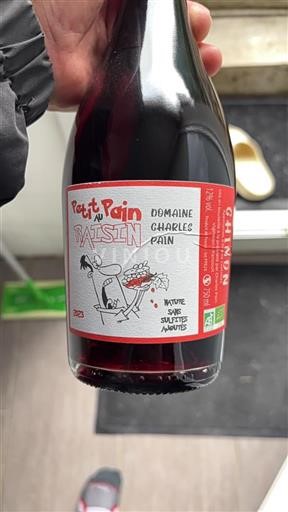 Valle del Loira Chinon Domaine Charles Pain Pet au Pain au Raisin 2023