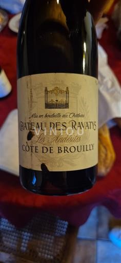 Beaujolais Côte-de-brouilly Château Des Ravatys Les Andesites 2018