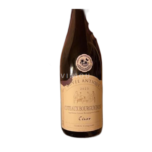 Borgogna Coteaux borgognoni Sorin-Coquard Antique 2023