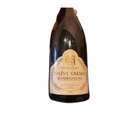 Bourgondië Bourgogne Philippe Sorin Julius Caesar 2016