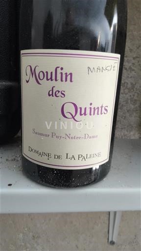 Valle della Loira Saumur Puy-Notre-Dame Domaine La Paleine Moulin des Quints Senza annata