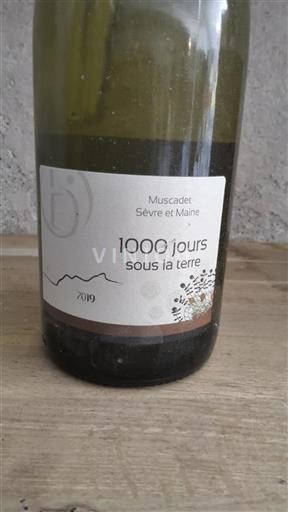 Valle della Loira Muscadet Sèvre et Maine 1000 jours sous la terre 2019