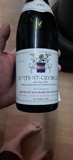 Bourgogne Nuits-Saint-Georges Bertrand Machard de Gramont Aux Allots 2001