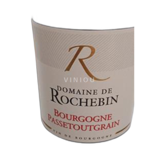 Bourgogne Mâcon et mâcon-villages Domaine Rochebin 2023