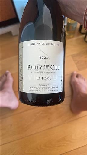 Bourgondië Niet gespecificeerd Premier Cru Domingos Ferreira Campos La Fosse 2023