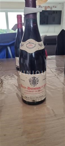 Bourgogne Ikke specificeret Premier Cru Alain et Vincent Creusefond Climat du Val 2006