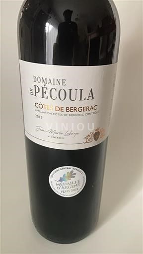 Sydväst Côtes-de-bergerac Domaine Pécoula 2019
