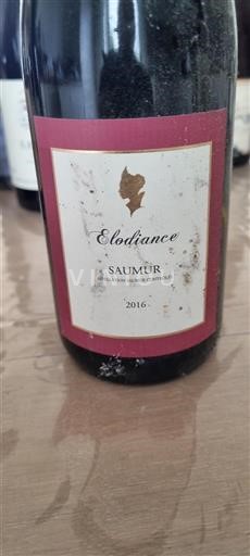 Loiren laakso Saumur Elodiance 2016