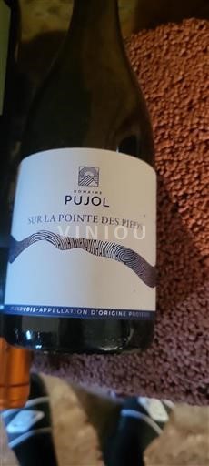 Languedoc Minervois Domaine Pujol Sur la Pointe des Pieds 2022