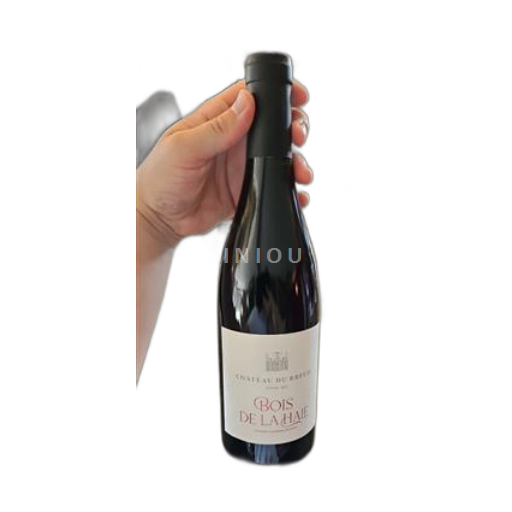 Vin Rouge sec Bois de la Haie Château Breuil 2022 France Vallée de la Loire Anjou AOC bio