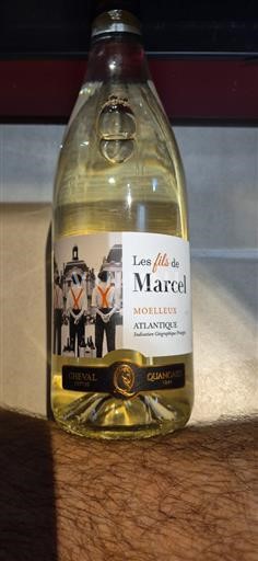 Aquitanien und Charente Atlantique Cheval Quancard Les fils de Marcel 2024