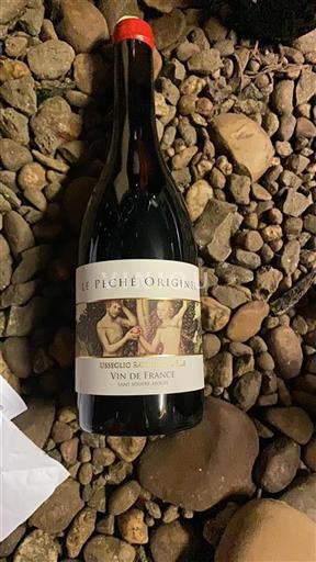 Údolí Rhôny Nespecifikováno Usseglio Raymond & Fils Le Péché Originel 2023