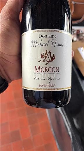 Beaujolais Morgon Domaine Mickaël Nesme Côte du Py 2022
