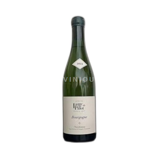 Borgogna Domaine Lamy-Pillot 2022