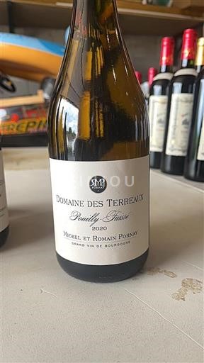 Bourgogne Pouilly-fuissé Domaine Des Terreaux 2020