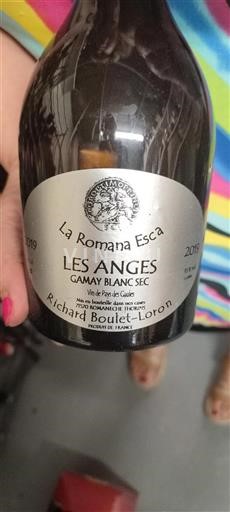 Beaujolais Non specificato Richard Boulet-Loron Les Anges 2019