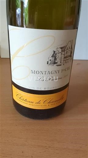 Burgundi Montagny Premier Cru Château Chamilly Les Burnins 2019