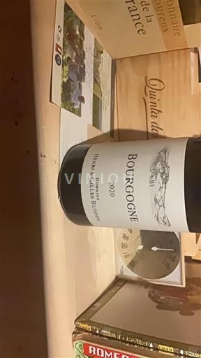Burgundy Domaine Henri & Gilles Buisson 2020