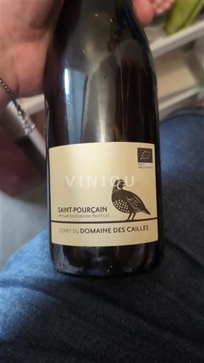 Valle della Loira Saint-Pourçain Domaine Des Cailles L'esprit 2022