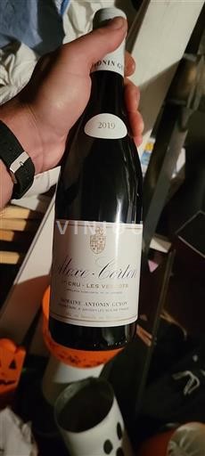 Burgundy Aloxe-Corton Premier Cru Domaine Antonin Guyon 2019