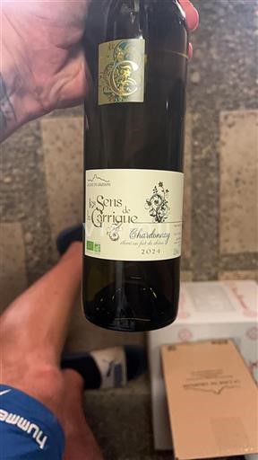 Linguadoca e Rossiglione Paese d'Oc La Cave de Gruissan Les Sens de la Garrigue 2024