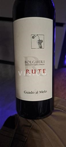 Toskana Bolgheri Guado al Melo Rute 2021