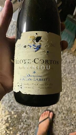 Bourgogne Aloxe-Corton Domaine Doudin- Arbelet 2020