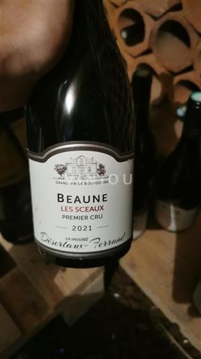 Bourgogne Beaune Premier Cru Domaine Désertaux-Ferrand Les Sceaux 2021