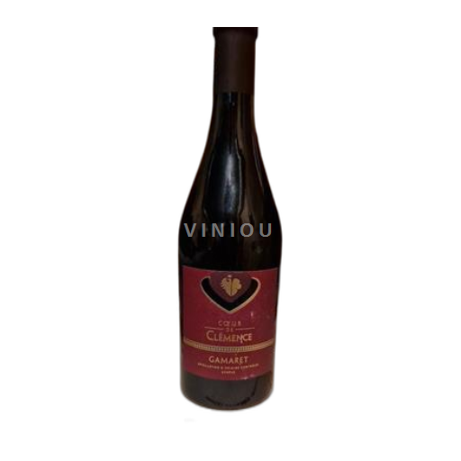 Ginevra Non specificato Coeur de Genève 2018