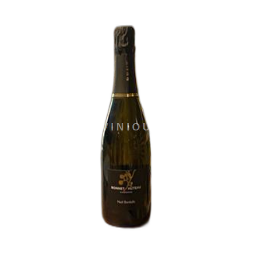 Valle della Loira Crémant-de-Loire Bonnet Huteau Nuit Boréale Senza annata
