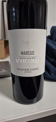 Mendoza Ni doloceno Allende Lopez Marcus 2020