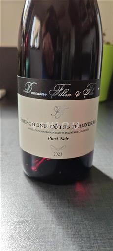 Burgundy Burgundy Côtes d'Auxerre Domaine Fillon & Fils 2023