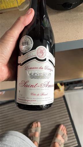 Beaujolais Saint-Amour Domaine Des Darroux Côte de Besset 2021