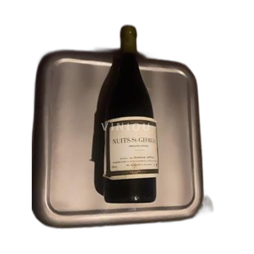 Borgogna Nuits-Saint-Georges Domaine Jafflin 1995