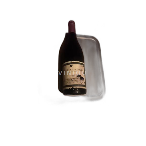 Burgund Gevrey-Chambertin Domaine Jaffelin 1999