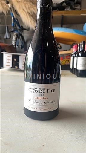 Beaujolais Chénas Domaine Clos du Fief Les Grands Gandolins 2019