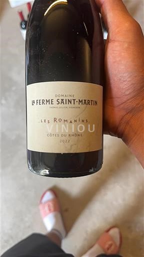 Valle del Rodano Côtes-du-Rhône Domaine La Ferme Saint-Martin Les Romanins 2022