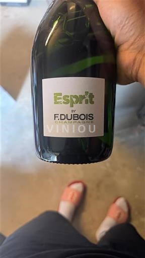 Champanhe F. Dubois Esprit Não Sazonado