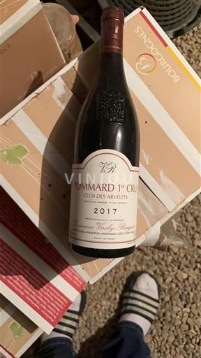 Borgogna Pommard Premier Cru Domaine Violot-Guillemard Clos des Arvelets 2017