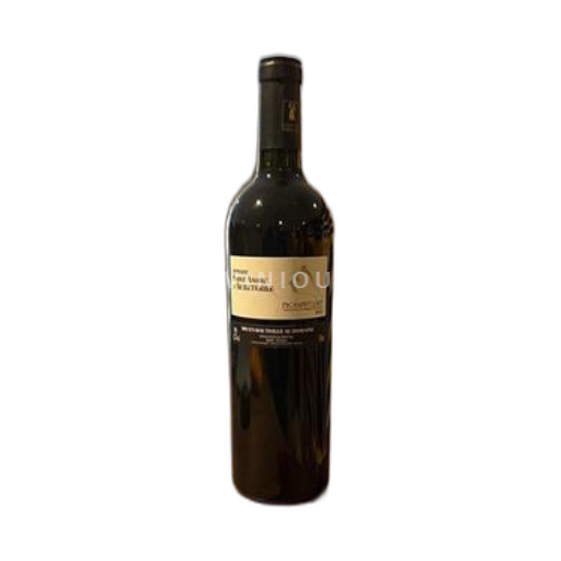 Languedoc Pic-saint-loup Domaine Saint André Aubeterre 2020