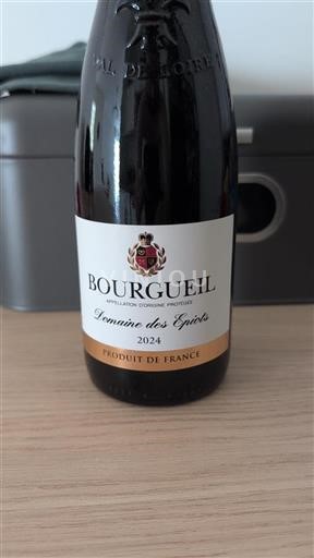 Loire Valley Bourgueil Domaine Des Épiots 2024